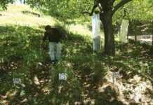 Grave Mystery