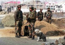 Yet another IED detected, This time in Maloora