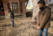Wildlife department recovers five punt guns from Wular lake poachers
