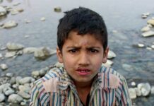 Fishes found dead in Kupwara pond, locals blame PHE, Fisheries Dept