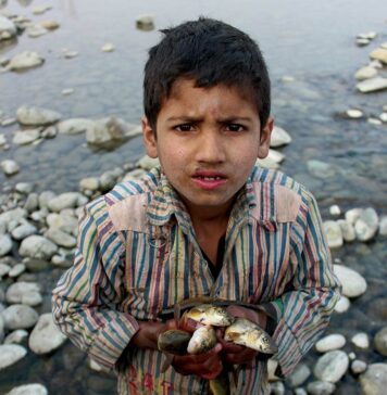 Kashmir’s Trout Economy