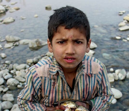 Kashmir’s Trout Economy
