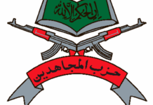 Hizb owns Tral grenade attack