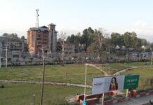 Woman Attempts Self-Immolation in Srinagar Park