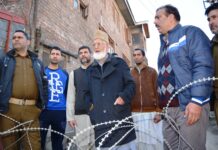 South Kashmir has suffered immensely: Geelani