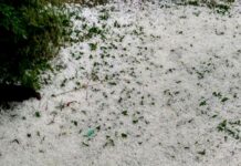 Hailstorm damages apple blossom in Bandipora areas
