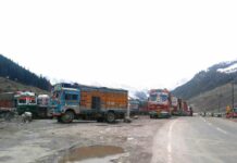 Srinagar Leh highway reopens after two days closure