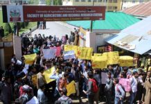 Students of Agriculture University Wadoora protest against civilian killings