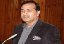 Pakistan stands with Kashmir, says acting PM PaK