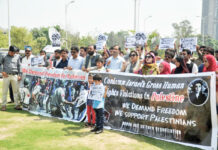 Protest march held against Kashmir, Palestine killings in Pakistan capital