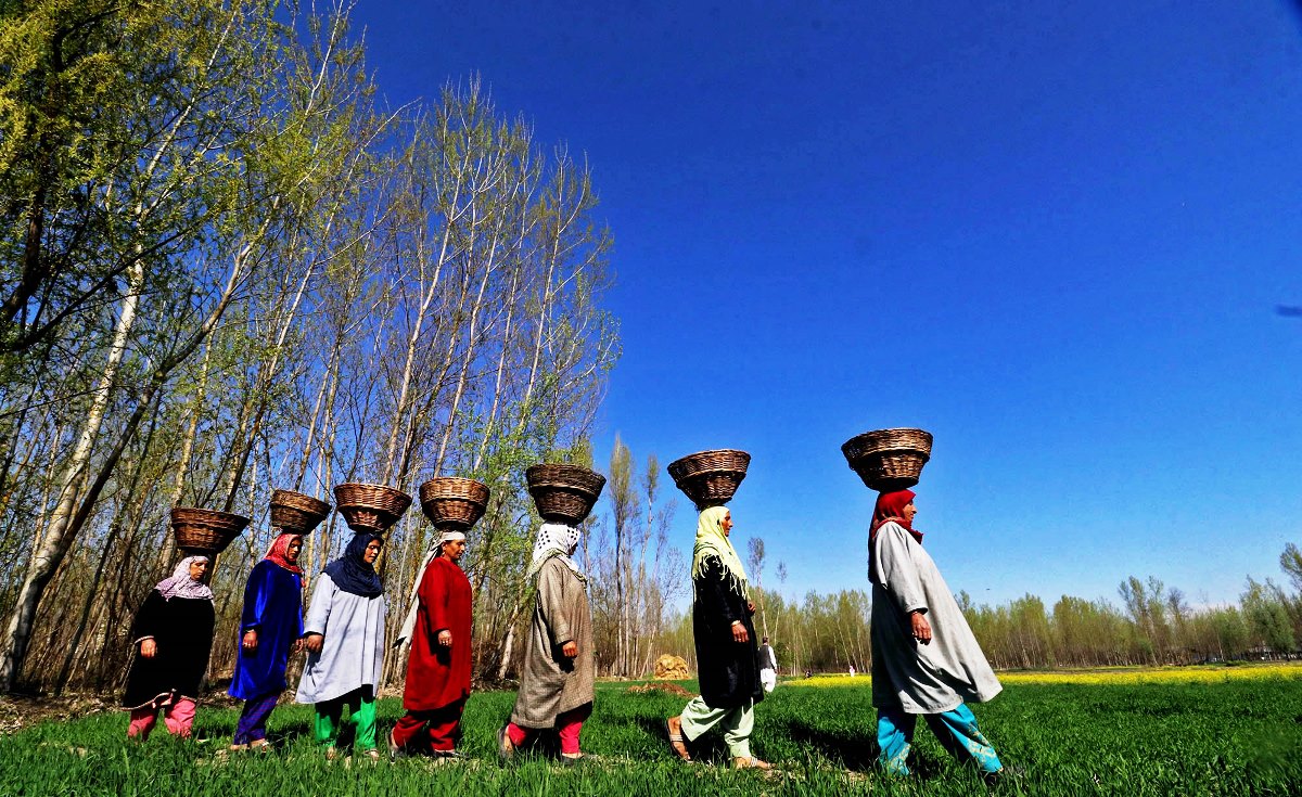 Kashmiri Pheran latest designs online - Kashmir Origin