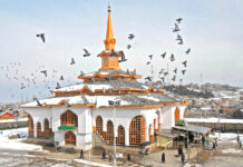 Sheikh-ul-Aalam: A Rediscovery