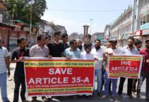 Article 35A: Auto-rickshaw drivers union holds protests in Srinagar