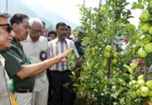 Governor inaugurates first harvest of high-density apples at SKUAST-K