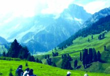 Sonamarg Welcomes Over 4.17 Lakh Tourists This Year