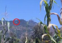 Pakistan helicopter flies near LoC in Poonch for five minutes