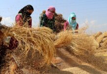 MeT Predicts Dry Weather In J&K During Next 24 Hrs