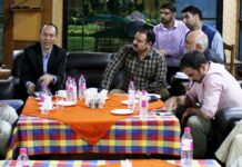 Kashmir Autumn Festival From Oct 25