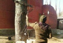 Cooking heaters, water boilers banned in Kashmir
