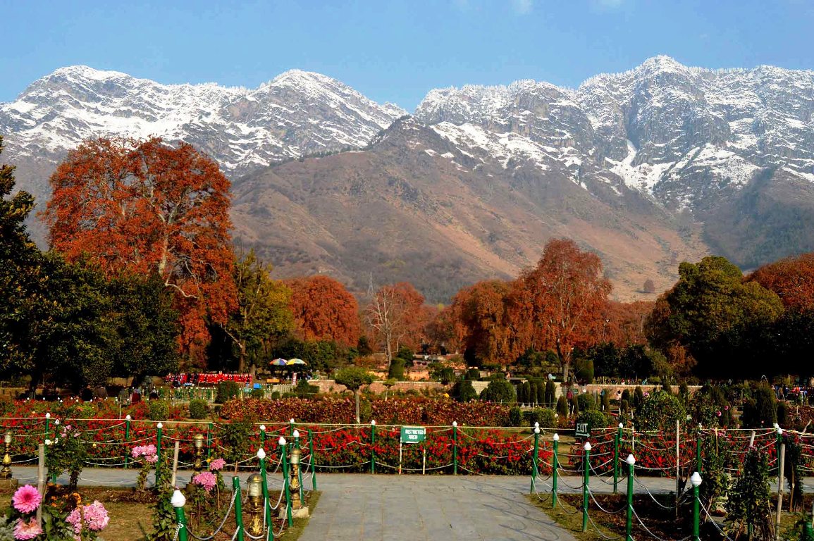 How Social Media Coverage of Autumn Foliage Draws Tourists to Kashmir