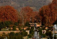 JK Govt Inks MoU With JSW Foundation For Restoration And Conservation Of Shalimar, Nishat Gardens
