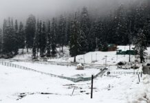 Fresh Snowfall Reported in Higher Reaches of Kashmir