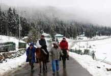 Will Strive to Involve Southern Film Industry to Boost Tourism: CM Abdullah