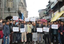 JKLF leaders, activists stage peaceful protest in Srinagar