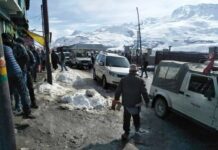 Traffic Police Issues 119 Challans During Enforcement Drive on Gulmarg Road