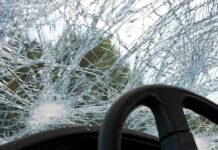 Truck Carrying Poultry Overturns in South Kashmir