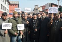 Pulwama killings height of brutality: Mubarak Gul