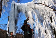 Coldwave Conditions Intensify Across Kashmir, Swathes of UP Experience Chilly Day