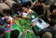 Tral Encounter: The Complete Story