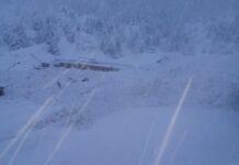 Avalanche Hits Sonamarg Amid Heavy Snow