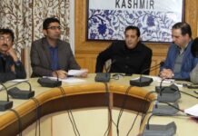 Preservation of river Jhelum’s cultural essence govt’s top priority: Div Com