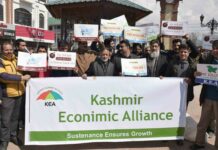 Kashmir trade bodies’ protest against attempts to abrogate Article 35 A