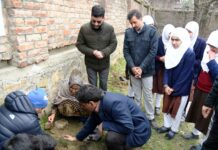 World Arbour Day: Skylight School launches plantation drive in Pampore