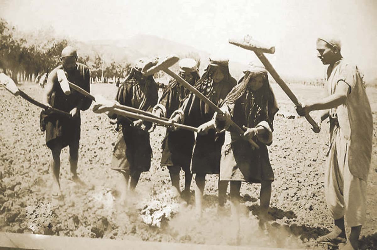 A-pre-partion-photopgraph-showing-the-men-and-women-busy-in-feild-harrowing