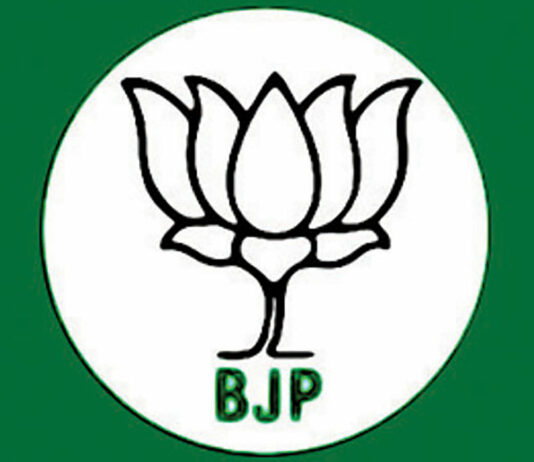 NC Should Focus on Governance, Fulfil Poll Promises Instead of Statehood Drama: BJP Leader