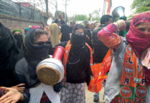 BJP workers during an election campaign in South Kashmir.