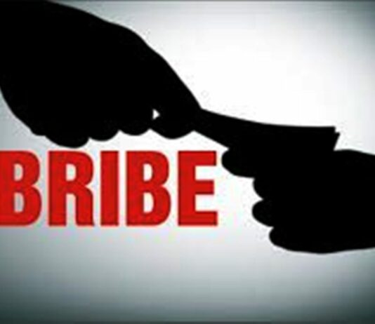 Bribe Case: CBI Arrests Three Forest Officials in Budgam