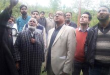 Director Horticulture visits hailstorm-affected areas