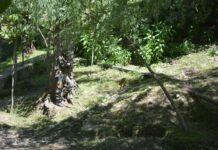 Two militants killed in south Kashmir gunfight: Police