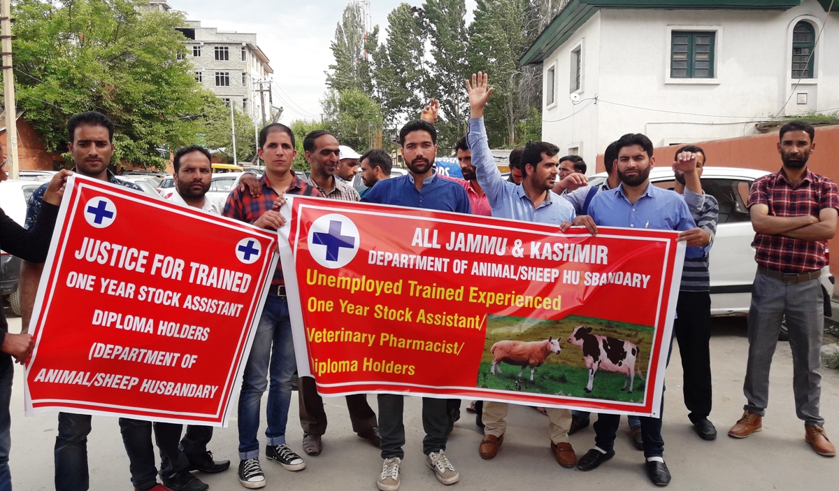 Animal Husbandry's Assistant Diploma Holders Cadre Protest in Srinagar,  Seek Change in Job Criteria | Kashmir Life