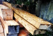 Night Timber Smuggling Reported in North KashmirForest, Deodar Trees Burnt