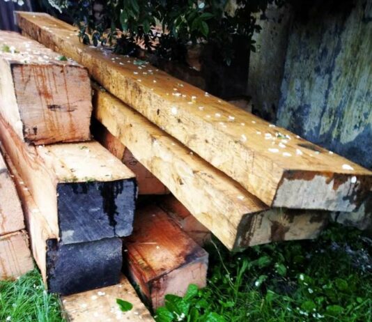 211 Concessional Timber Sale Depots Operating Across Jammu Kashmir, Assembly Told