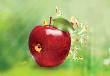 Illustration-Malik-Kaisar-@-MK-Creations