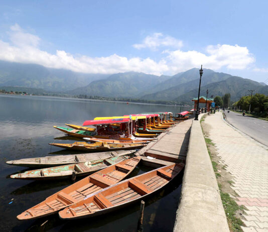 Dal Lake Loses Native Fish Diversity, Species Count Falls From 14 to 8: Survey