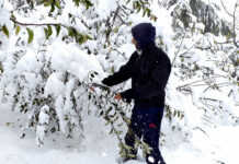 First Snowfall of Season Brings Hope for Kashmir’s Farmers, Horticulturists