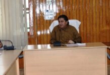 Kanihama to be developed as Handloom Village: DC Budgam